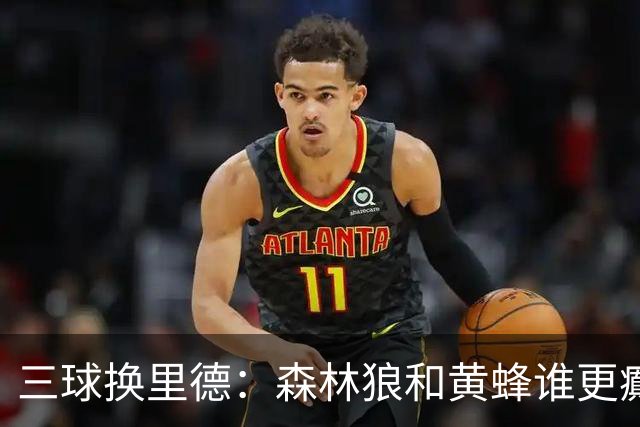 三球换里德：森林狼和黄蜂谁更癫？！