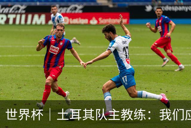 世界杯｜土耳其队主教练：我们应得到更多尊重