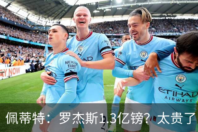 佩蒂特：罗杰斯1.3亿镑？太贵了！阿森纳可以把尼科作为替代方案