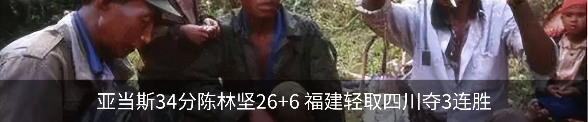 新闻动态