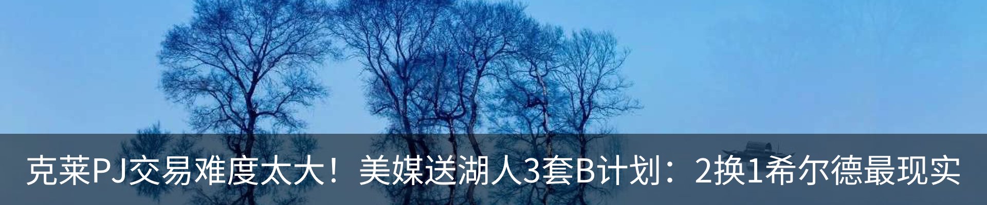 新闻动态