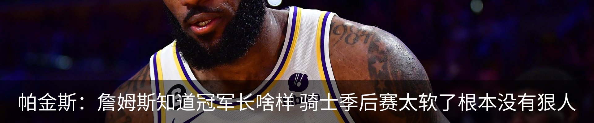 新闻动态