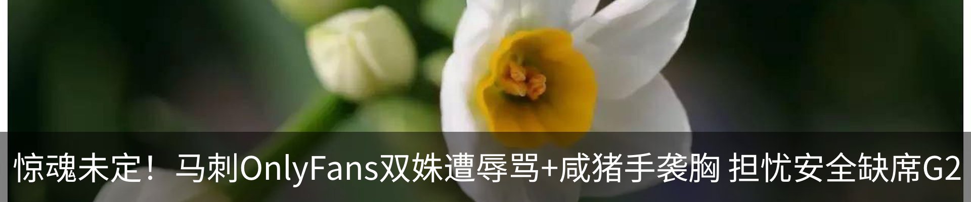 新闻动态