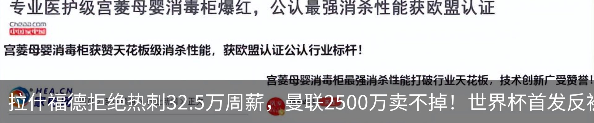 新闻动态