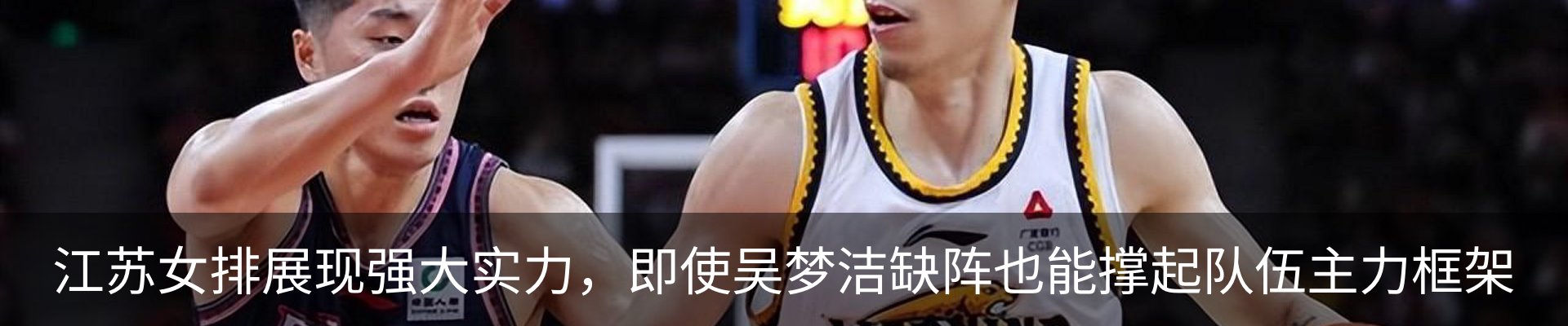 新闻动态
