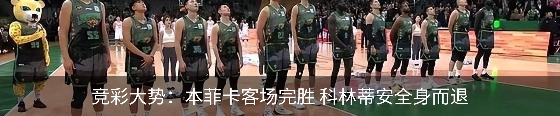 新闻动态