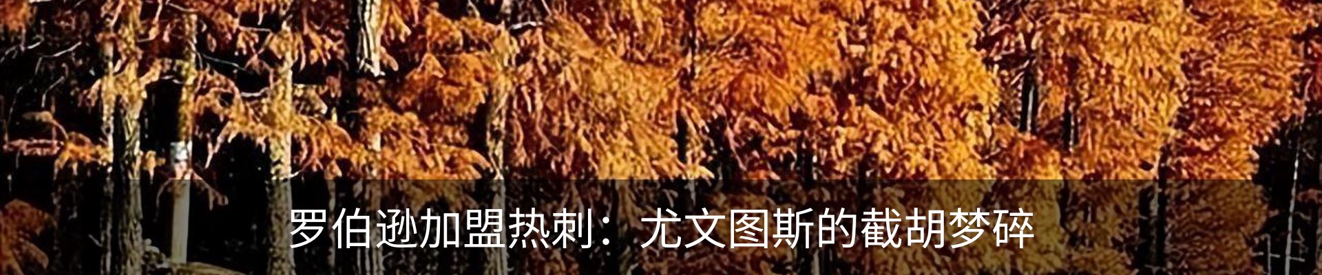新闻动态