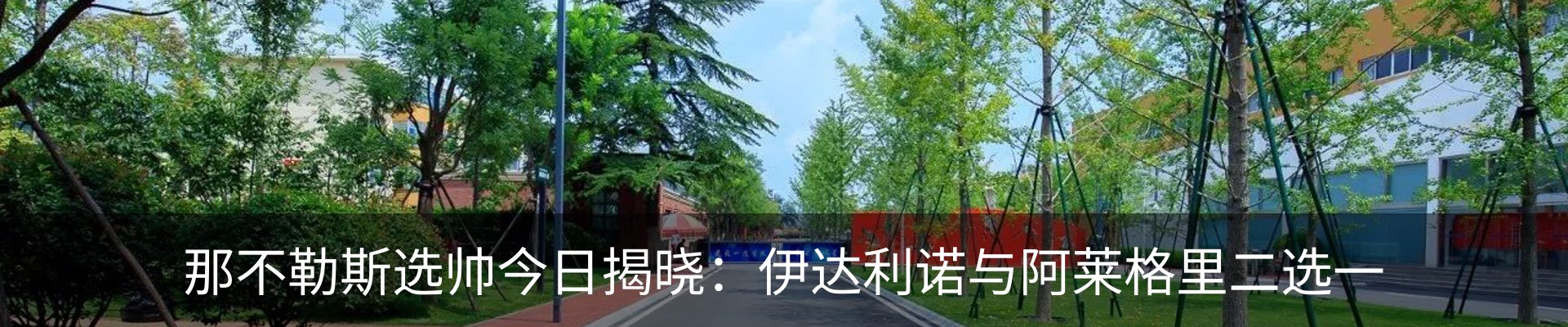 新闻动态
