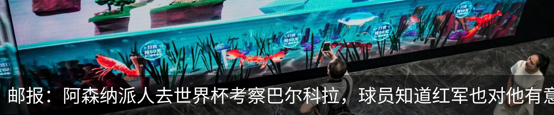 新闻动态