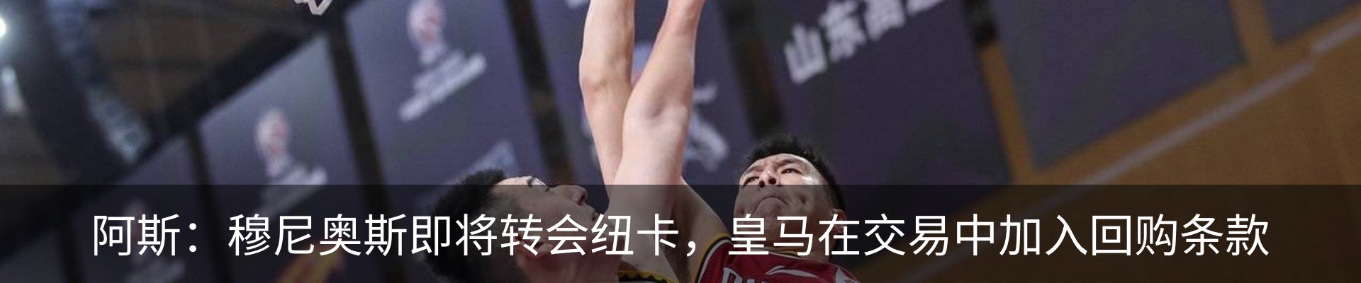 新闻动态