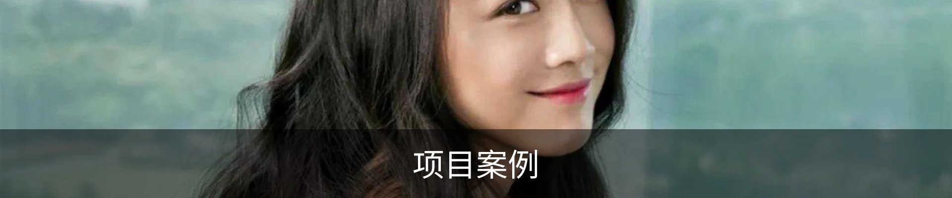 项目案例