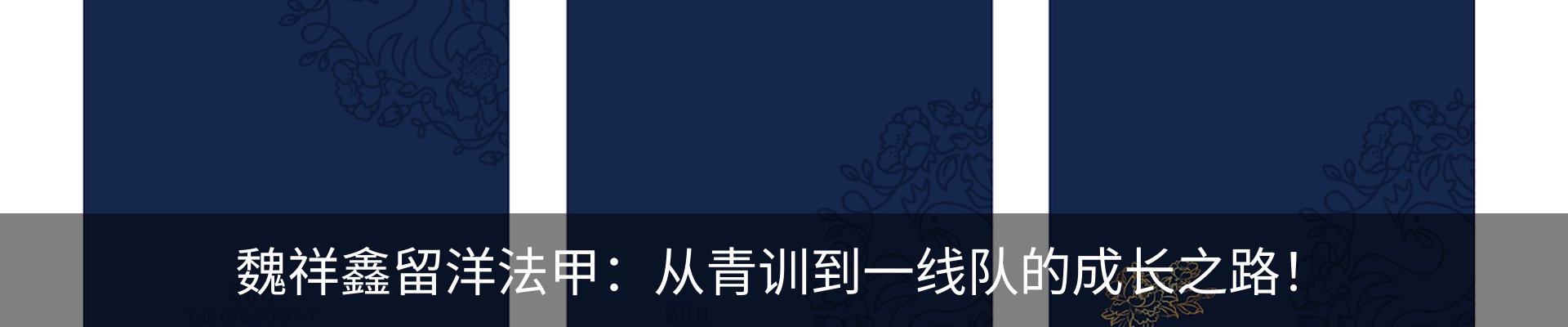 新闻动态